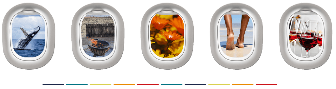 flight-windows (1)